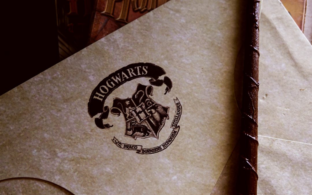 Magie et Sorcellerie : 20 Idées Cadeaux pour les Fans d’Harry Potter